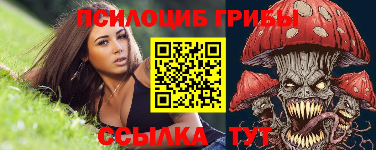 Псилоцибиновые грибы Psilocybine cubensis  Галлюциногенные грибы прущие грибы  купить наркотики сайты  Электрогорск  Вход с VPN 